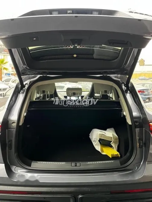 جيتور داشينج 2026 رمادي مستعملة للبيع - 10