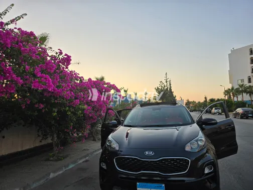 Kia Sportage 2020 White Used for Sale - 1