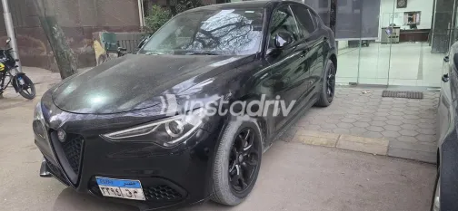 الفاروميو ستلفيو 2021 أبيض مستعملة للبيع - 1