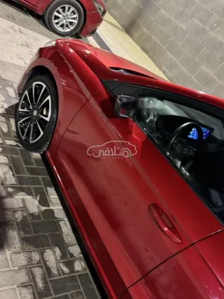 سيات ابيزا 2025 أبيض مستعملة للبيع