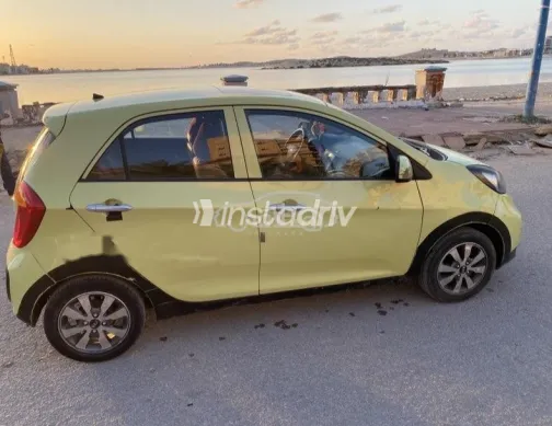 كيا بيكانتو 2015 أبيض مستعملة للبيع - 3