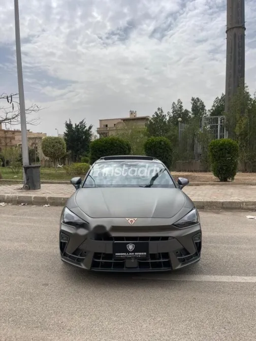 كوبرا ليون 2025 رمادي مستعملة للبيع - 1