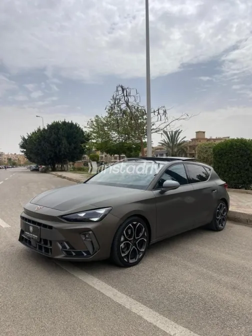 كوبرا ليون 2025 رمادي مستعملة للبيع - 2