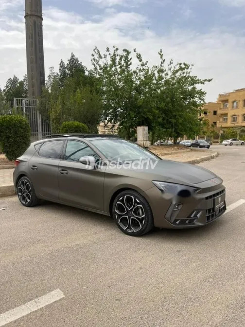 كوبرا ليون 2025 رمادي مستعملة للبيع - 3