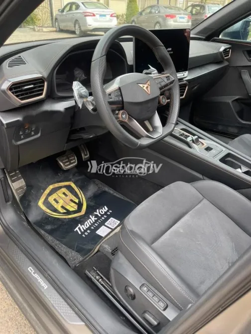 كوبرا ليون 2025 رمادي مستعملة للبيع - 4