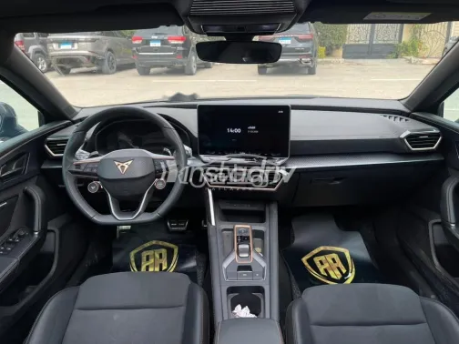 كوبرا ليون 2025 رمادي مستعملة للبيع - 6