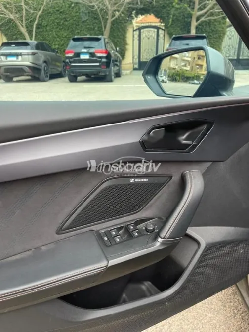 كوبرا ليون 2025 رمادي مستعملة للبيع - 7