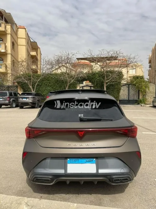 كوبرا ليون 2025 رمادي مستعملة للبيع - 9