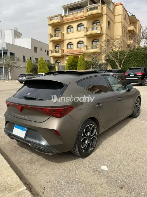 كوبرا ليون 2025 رمادي مستعملة للبيع - 10