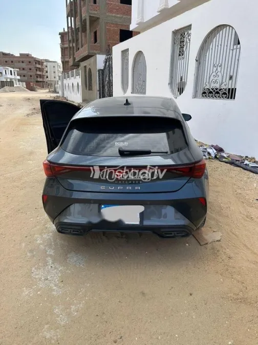 كوبرا ليون 2025 أبيض مستعملة للبيع - 3