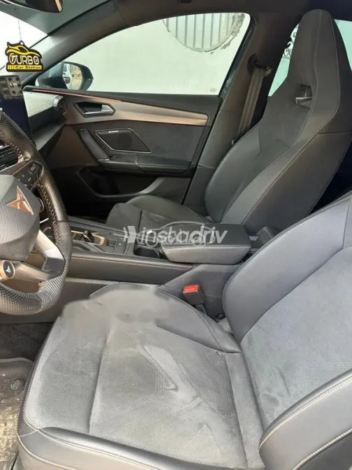 كوبرا ليون 2025 أبيض مستعملة للبيع - 8