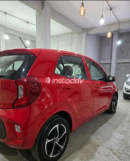 كيا بيكانتو 2018 أبيض مستعملة للبيع - 4