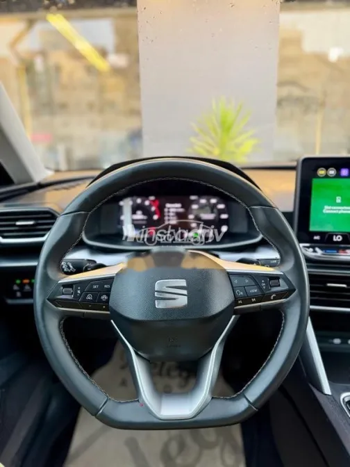 سيات ليون 2025 رمادي مستعملة للبيع - 8