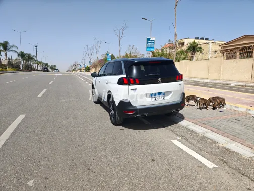 بيجو 5008 2019 أبيض مستعملة للبيع - 3