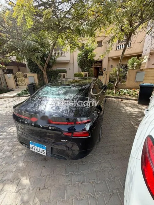 Xpeng P7 2025 White Used for Sale - 2