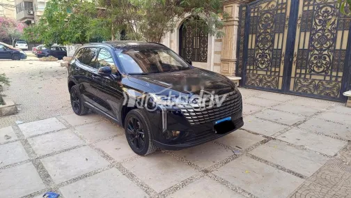 هافال H6 2026 أسود مستعملة للبيع - 3