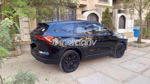 هافال H6 2026 أسود مستعملة للبيع - 5