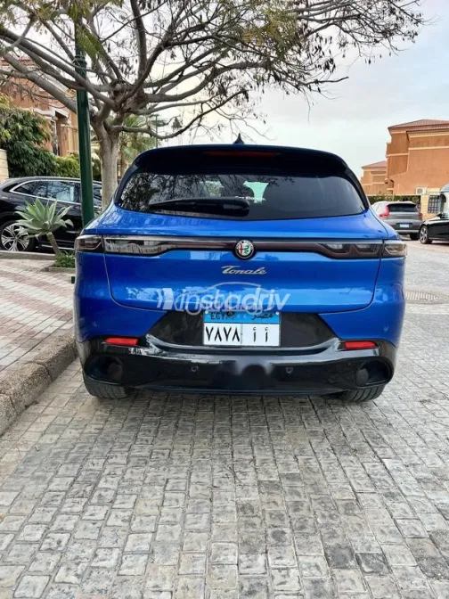 الفاروميو تونالى 2024 أبيض مستعملة للبيع - 5