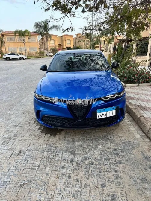 الفاروميو تونالى 2024 أبيض مستعملة للبيع - 7