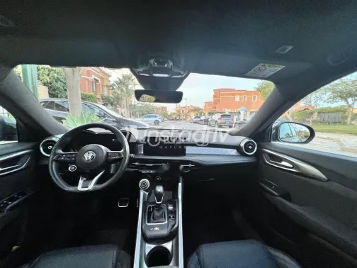 الفاروميو تونالى 2024 أبيض مستعملة للبيع - 8