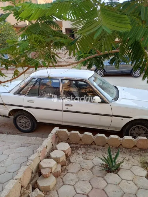 تويوتا كرسيدا 1988 أبيض مستعملة للبيع - 3