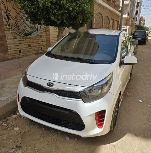 كيا بيكانتو 2019 أبيض مستعملة للبيع - 1