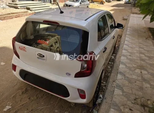 كيا بيكانتو 2019 أبيض مستعملة للبيع - 4