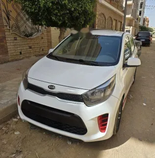 كيا بيكانتو 2019 أبيض مستعملة للبيع