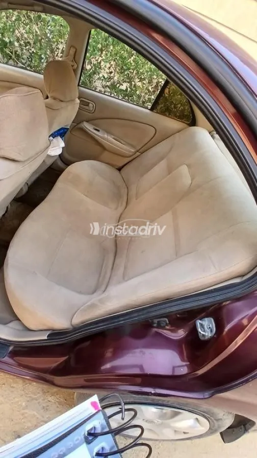 Nissan Sunny 2007 Dark Red Used for Sale - 9