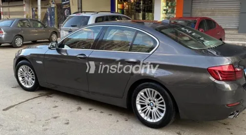 BMW 520 2015 Mocha Used for Sale - 6