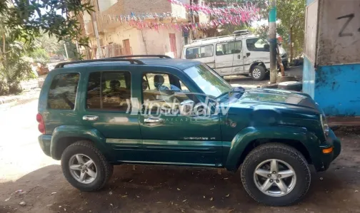 جيب ليبيرتى 2002 أخضر غامق مستعملة للبيع - 3
