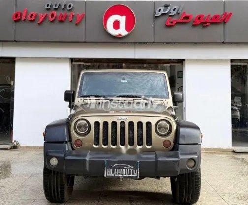جيب رانجلر 2013 بني مستعملة للبيع - 4