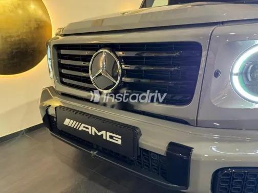 Mercedes G Class 2025 Gray Used for Sale - 4