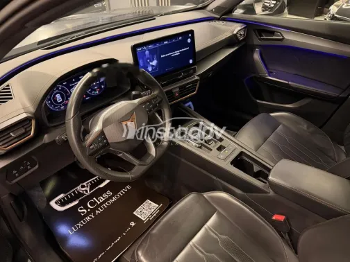 كوبرا فورمينتور 2023 رمادي مستعملة للبيع - 6