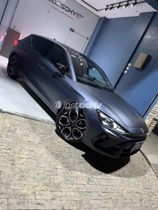 كوبرا ليون 2026 رمادي مستعملة للبيع - 1