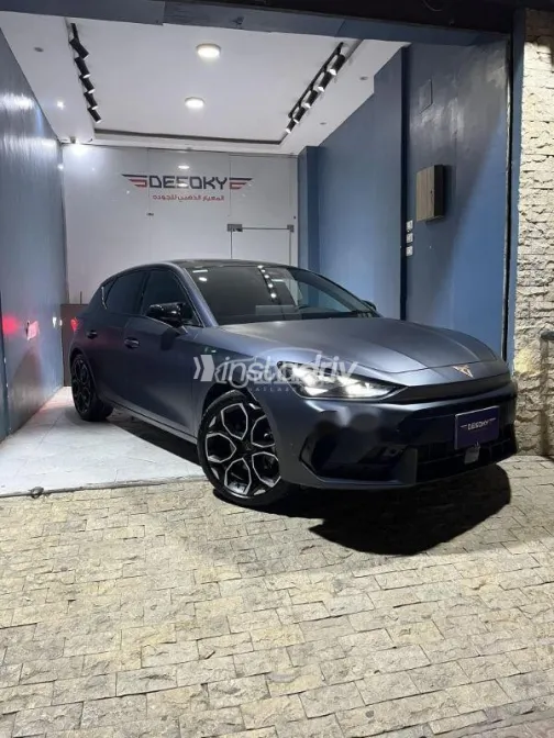 كوبرا ليون 2026 رمادي مستعملة للبيع - 4