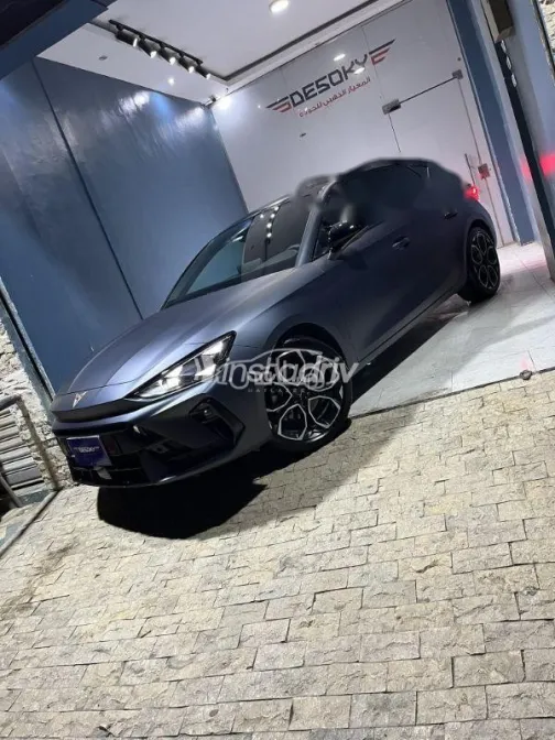 كوبرا ليون 2026 رمادي مستعملة للبيع - 6