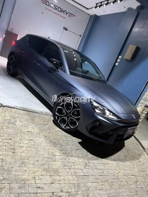 كوبرا ليون 2026 رمادي مستعملة للبيع - 7