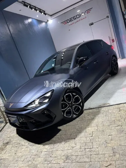 كوبرا ليون 2026 رمادي مستعملة للبيع - 9