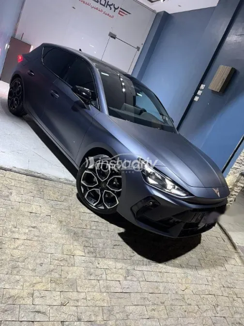 كوبرا ليون 2026 رمادي مستعملة للبيع - 10