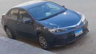 Toyota Corolla 2019 Dark Gray Used for Sale