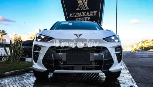 كوبرا تيرامار 2025 أبيض مستعملة للبيع - 5