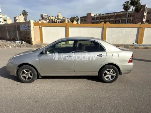 Toyota Corolla 2003 Gold Used for Sale - 6