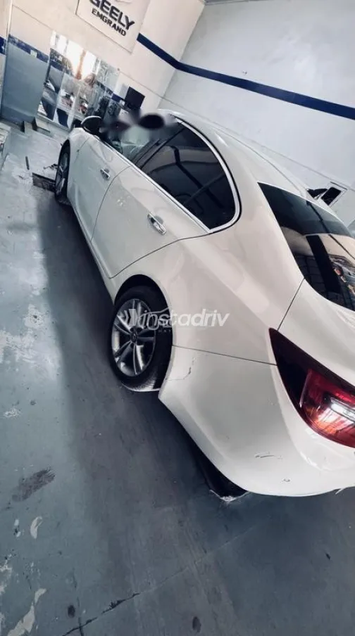 اوبل أنسيجنيا 2017 أبيض مستعملة للبيع - 10