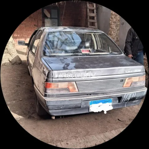 Peugeot 405 2007 Gray Used for Sale - 6