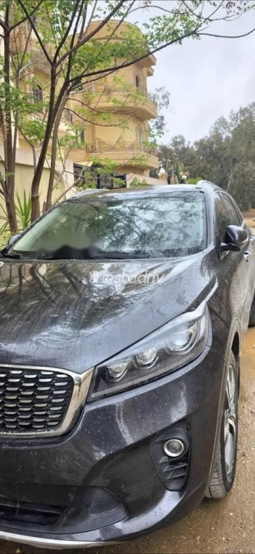 كيا سورينتو 2019 أبيض مستعملة للبيع - 4