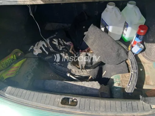 هيونداي اكسنت 2006 أخضر مستعملة للبيع - 5