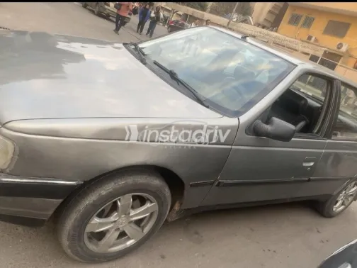Peugeot 405 1995 Gray Used for Sale - 1