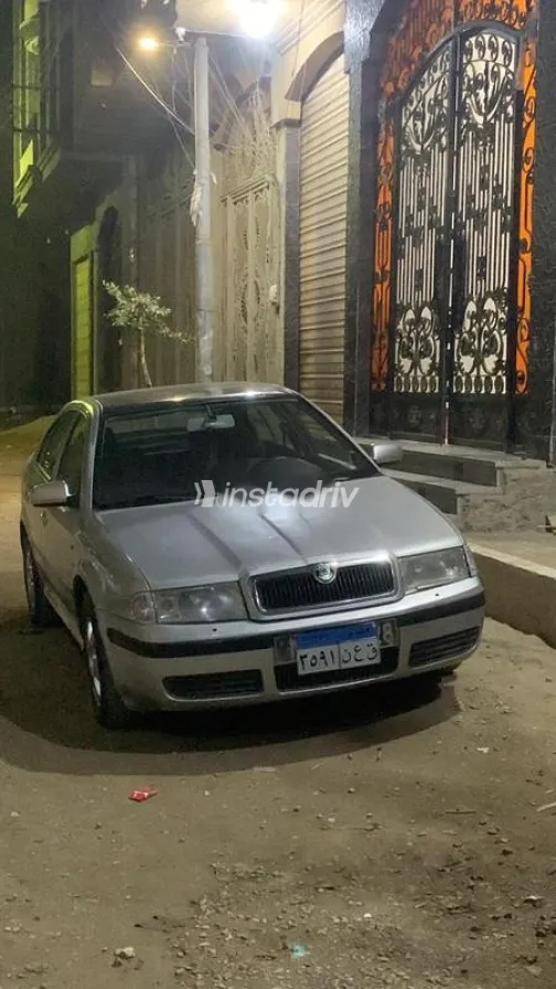 سكودا اوكتافيا A4 2002 رمادي مستعملة للبيع - 8