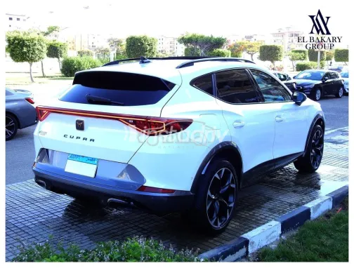 كوبرا فورمينتور 2024 أبيض مستعملة للبيع - 2